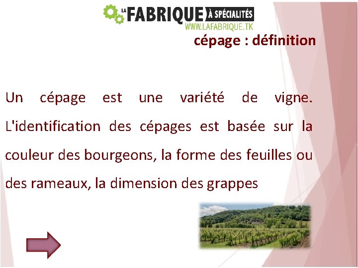 cépage : définition Un cépage est une variété de vigne. L'identification des cépages est