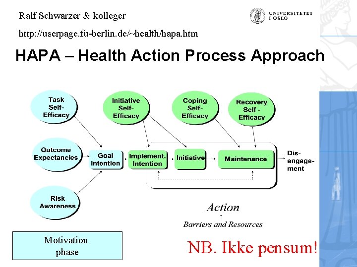 Ralf Schwarzer & kolleger http: //userpage. fu-berlin. de/~health/hapa. htm HAPA – Health Action Process