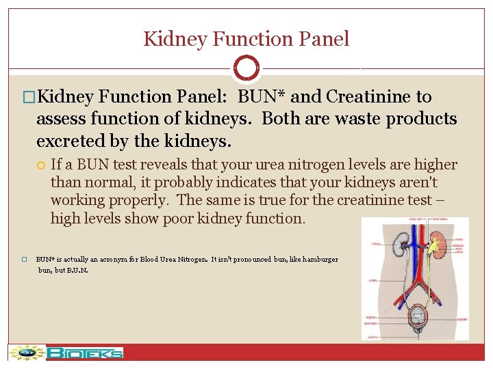 Kidney Function Panel �Kidney Function Panel: BUN* and Creatinine to assess function of kidneys.