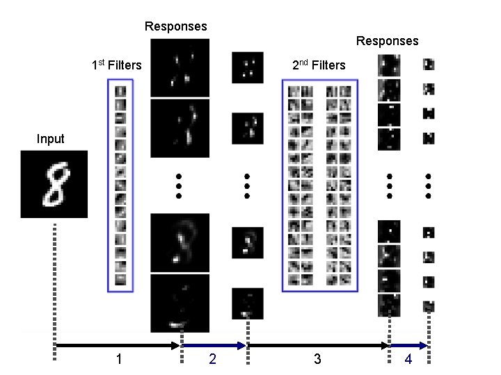 Responses 1 st Filters 2 nd Filters Input 1 2 3 4 