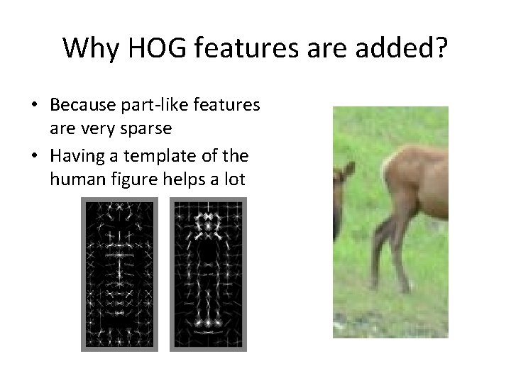 Why HOG features are added? • Because part-like features are very sparse • Having