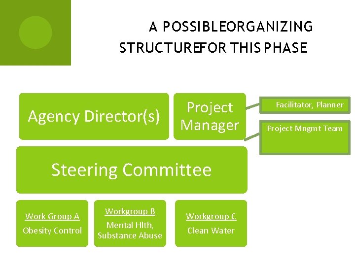 A POSSIBLEORGANIZING STRUCTUREFOR THIS PHASE Agency Director(s) Project Manager Steering Committee Work Group A