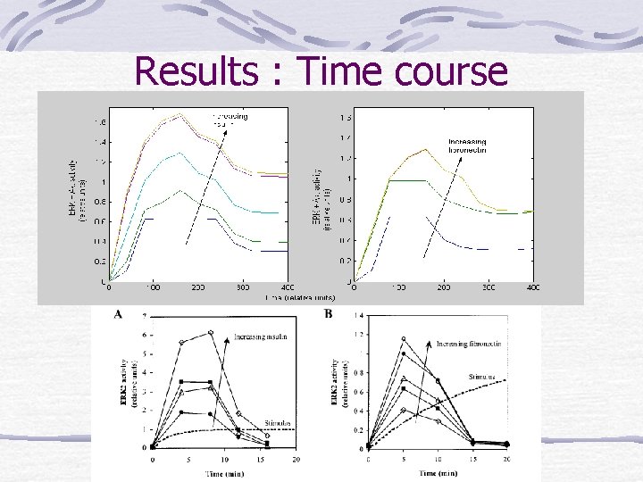 Results : Time course 