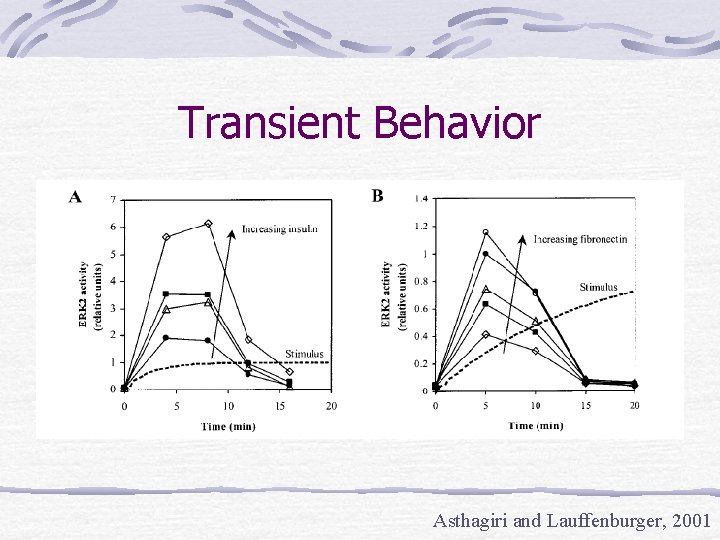 Transient Behavior Asthagiri and Lauffenburger, 2001 