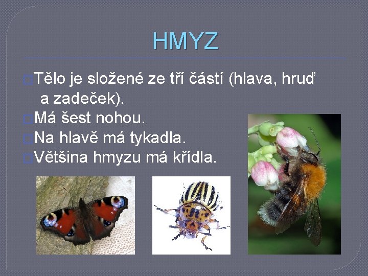 HMYZ �Tělo je složené ze tří částí (hlava, hruď a zadeček). �Má šest nohou.