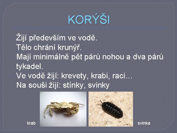 KORÝŠI Žijí především ve vodě. Tělo chrání krunýř. Mají minimálně pět párů nohou a