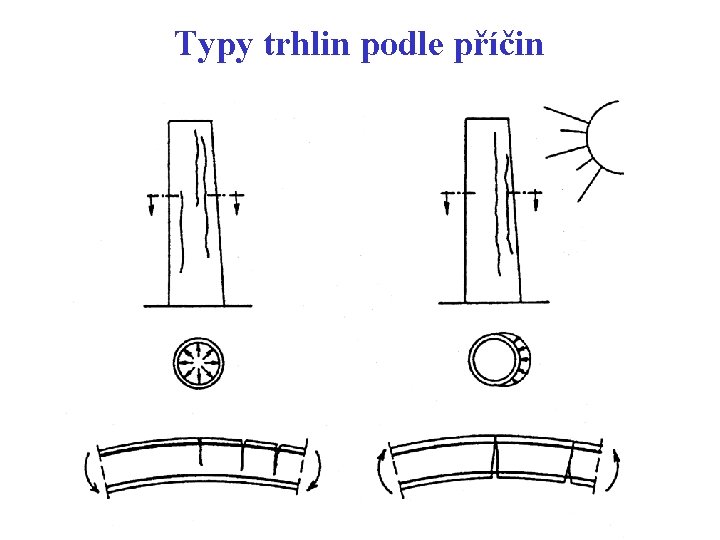 Typy trhlin podle příčin 