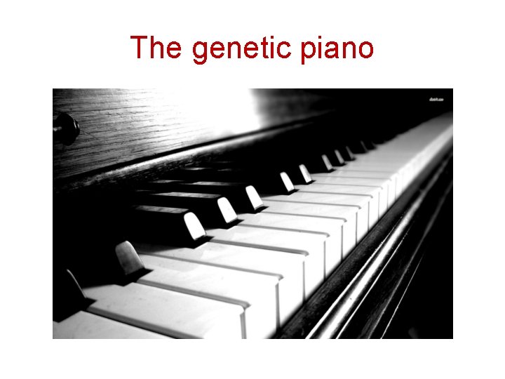 The genetic piano 