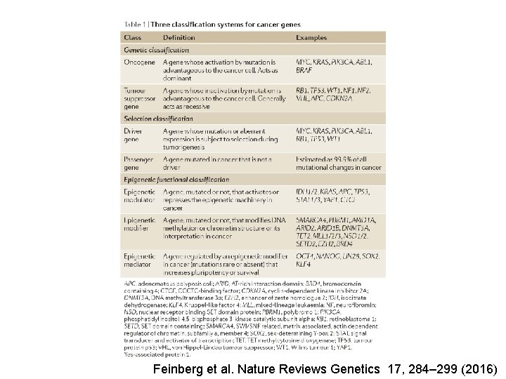 Feinberg et al. Nature Reviews Genetics 17, 284– 299 (2016) 