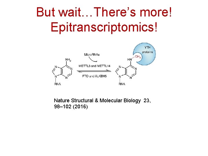 But wait…There’s more! Epitranscriptomics! Nature Structural & Molecular Biology 23, 98– 102 (2016) 