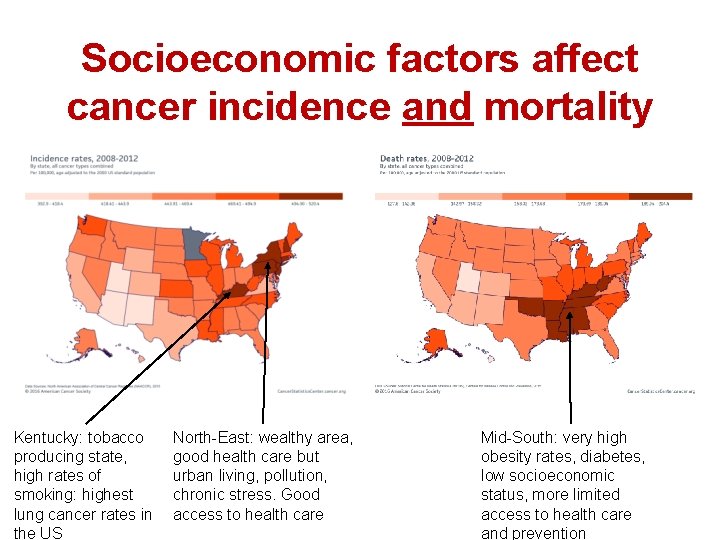 Socioeconomic factors affect cancer incidence and mortality Kentucky: tobacco producing state, high rates of