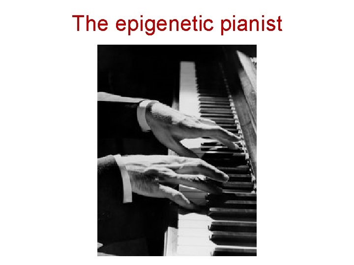 The epigenetic pianist 