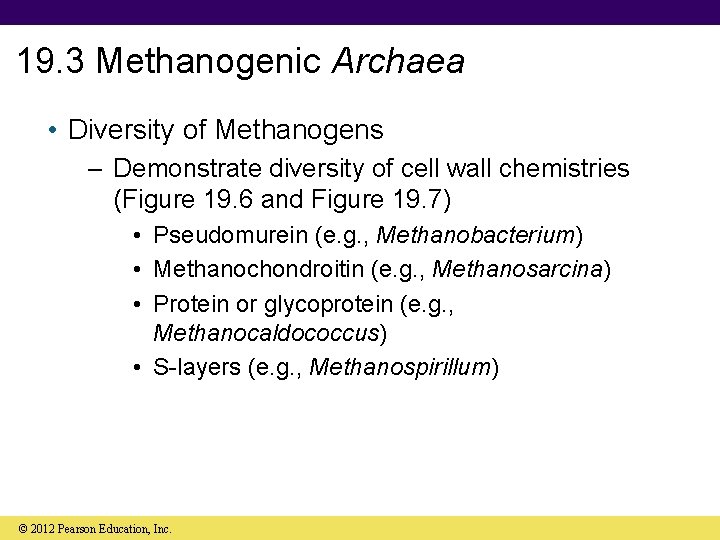 19. 3 Methanogenic Archaea • Diversity of Methanogens – Demonstrate diversity of cell wall