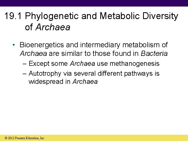19. 1 Phylogenetic and Metabolic Diversity of Archaea • Bioenergetics and intermediary metabolism of