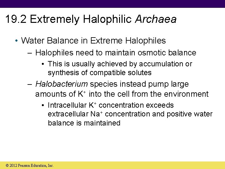 19. 2 Extremely Halophilic Archaea • Water Balance in Extreme Halophiles – Halophiles need