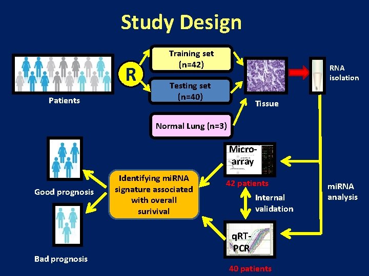 Study Design R Patients Training set (n=42) RNA isolation Testing set (n=40) Tissue Normal