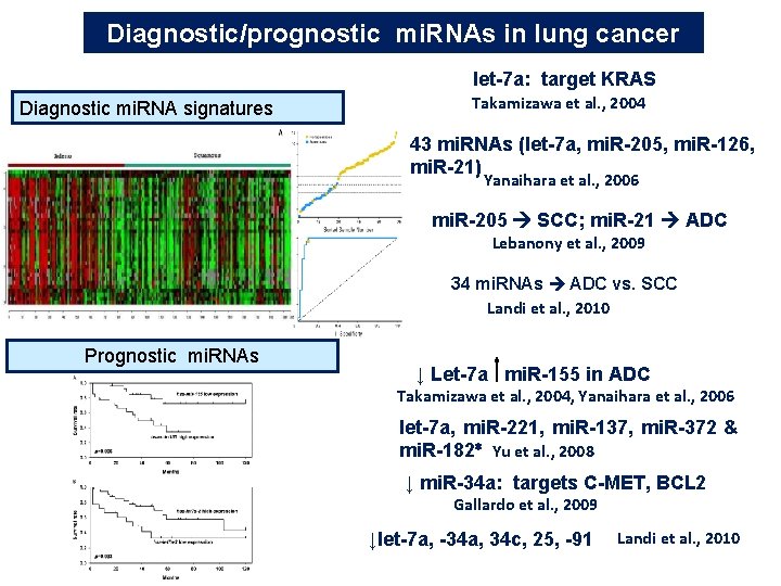 Diagnostic/prognostic mi. RNAs in lung cancer let-7 a: target KRAS Diagnostic mi. RNA signatures