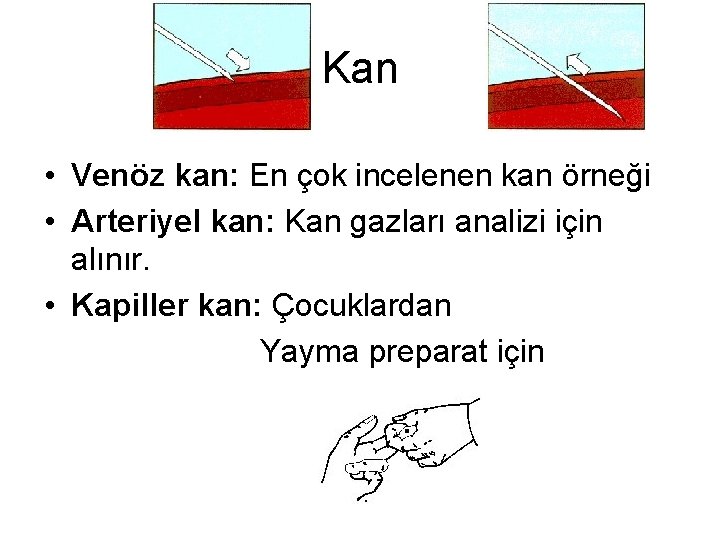 Kan • Venöz kan: En çok incelenen kan örneği • Arteriyel kan: Kan gazları