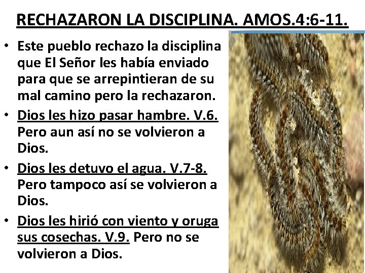 RECHAZARON LA DISCIPLINA. AMOS. 4: 6 -11. • Este pueblo rechazo la disciplina que