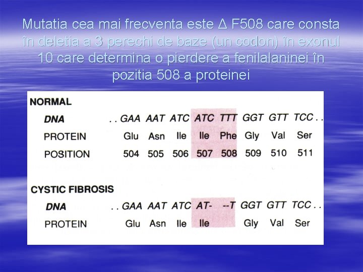 Mutatia cea mai frecventa este Δ F 508 care consta în deletia a 3