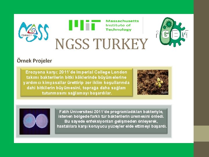 NGSS TURKEY Örnek Projeler Erozyona karşı; 2011’de Imperial College London takımı bakterilerin bitki köklerinde