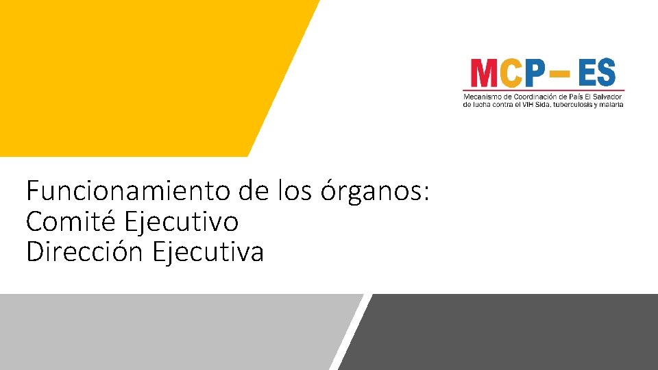 Funcionamiento de los órganos: Comité Ejecutivo Dirección Ejecutiva 