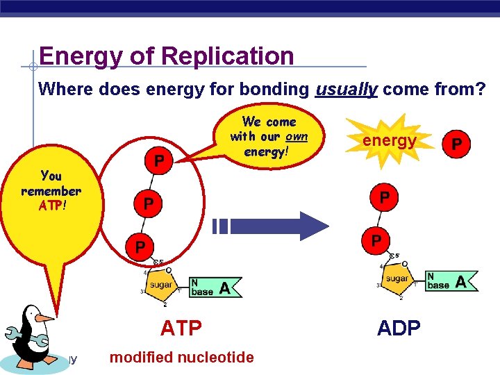 Energy of Replication Where does energy for bonding usually come from? We come with