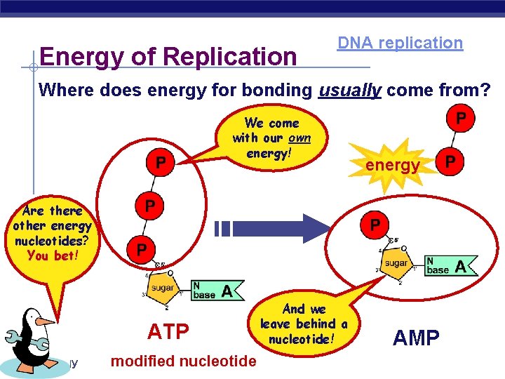 Energy of Replication DNA replication Where does energy for bonding usually come from? We