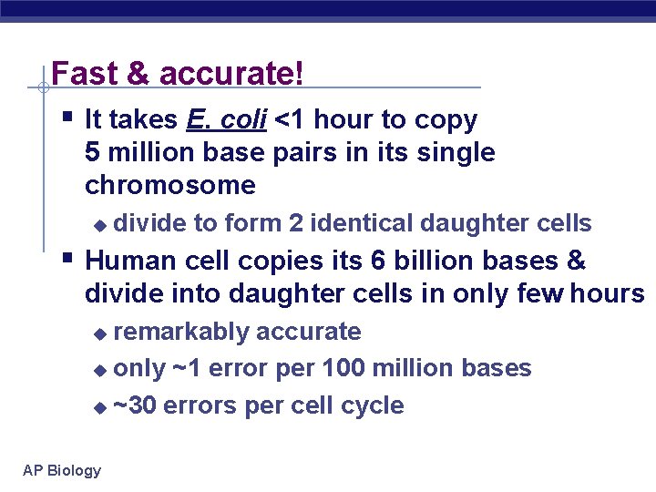 Fast & accurate! § It takes E. coli <1 hour to copy 5 million