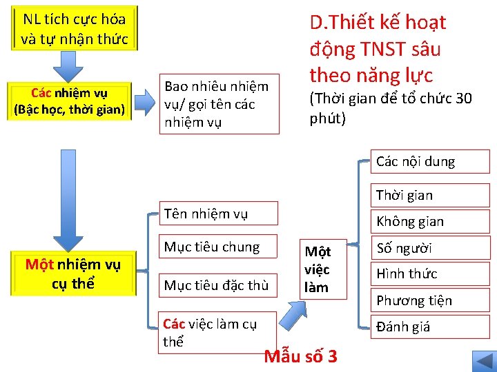 NL tích cực hóa và tự nhận thức Các nhiệm vụ (Bậc học, thời