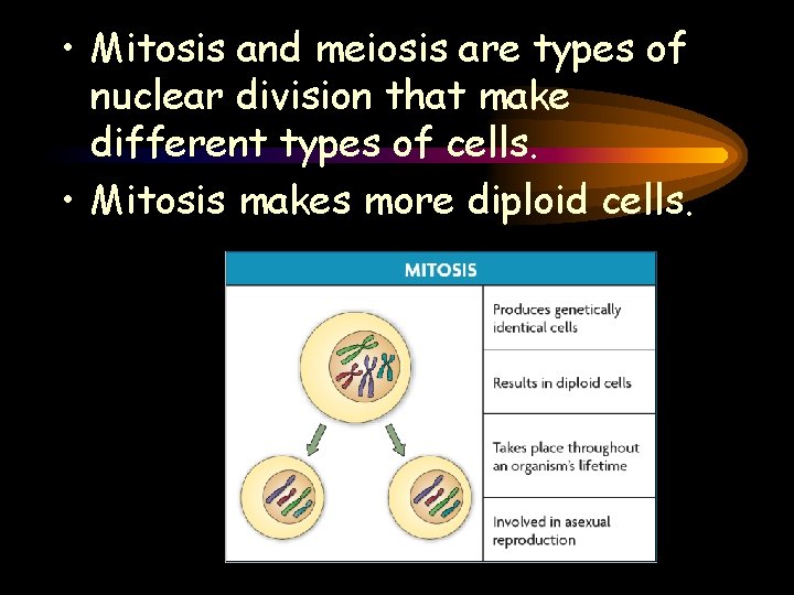  • Mitosis and meiosis are types of nuclear division that make different types