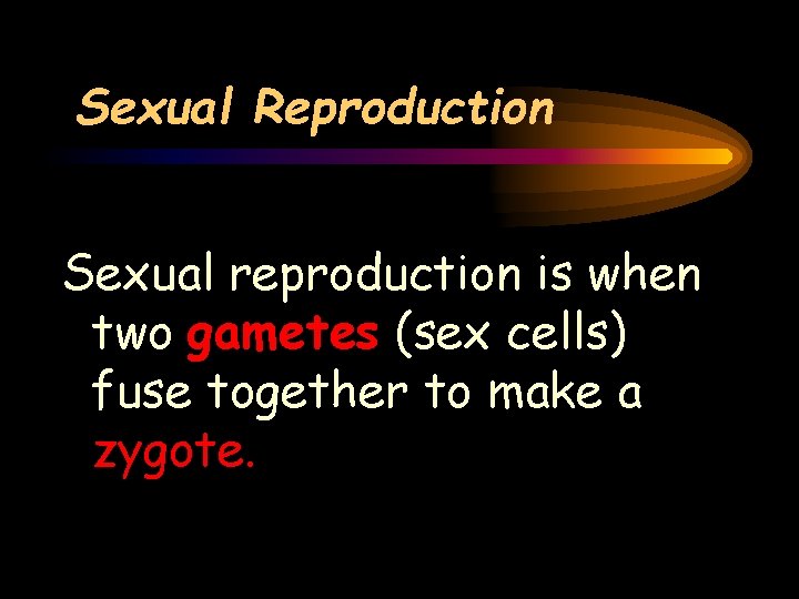 Sexual Reproduction Sexual reproduction is when two gametes (sex cells) fuse together to make
