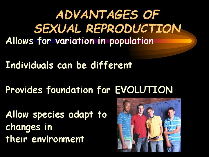 ADVANTAGES OF SEXUAL REPRODUCTION Allows for variation in population Individuals can be different Provides