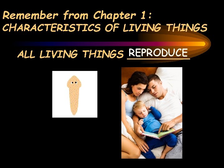Remember from Chapter 1: CHARACTERISTICS OF LIVING THINGS REPRODUCE ALL LIVING THINGS _____ 