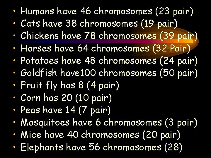  • • • Humans have 46 chromosomes (23 pair) Cats have 38 chromosomes