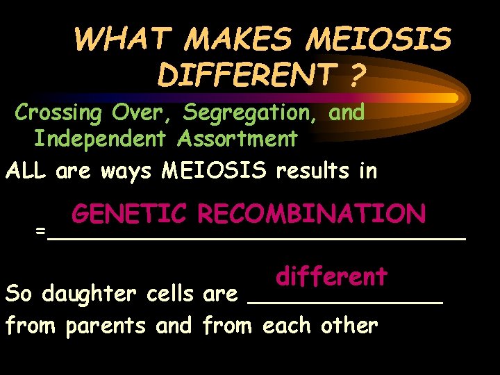 WHAT MAKES MEIOSIS DIFFERENT ? Crossing Over, Segregation, and Independent Assortment ALL are ways