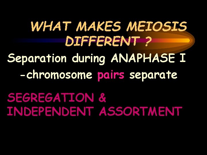 WHAT MAKES MEIOSIS DIFFERENT ? Separation during ANAPHASE I -chromosome pairs separate SEGREGATION &