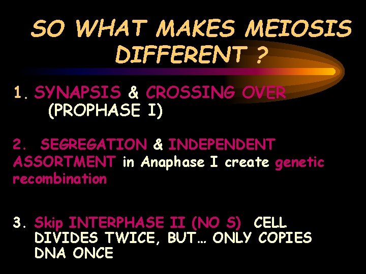 SO WHAT MAKES MEIOSIS DIFFERENT ? 1. SYNAPSIS & CROSSING OVER (PROPHASE I) 2.