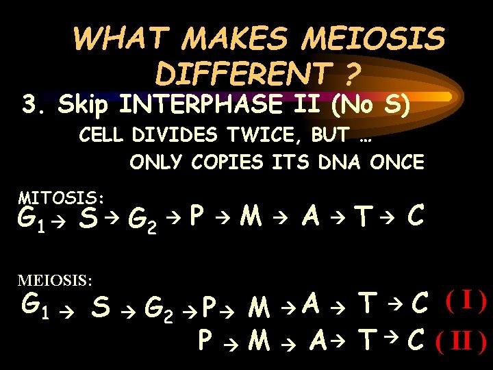 WHAT MAKES MEIOSIS DIFFERENT ? 3. Skip INTERPHASE II (No S) CELL DIVIDES TWICE,