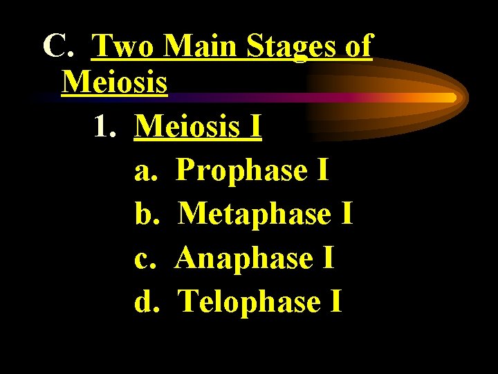C. Two Main Stages of Meiosis 1. Meiosis I a. Prophase I b. Metaphase