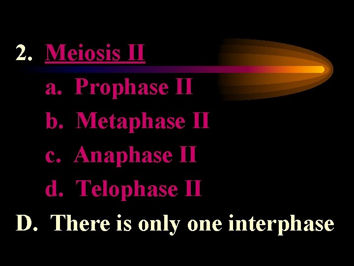2. Meiosis II a. Prophase II b. Metaphase II c. Anaphase II d. Telophase