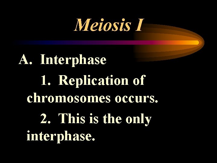 Meiosis I A. Interphase 1. Replication of chromosomes occurs. 2. This is the only