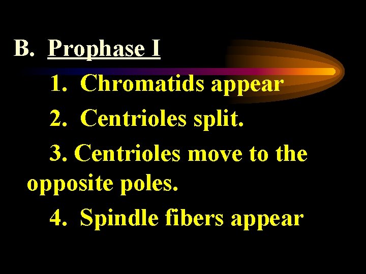 B. Prophase I 1. Chromatids appear 2. Centrioles split. 3. Centrioles move to the