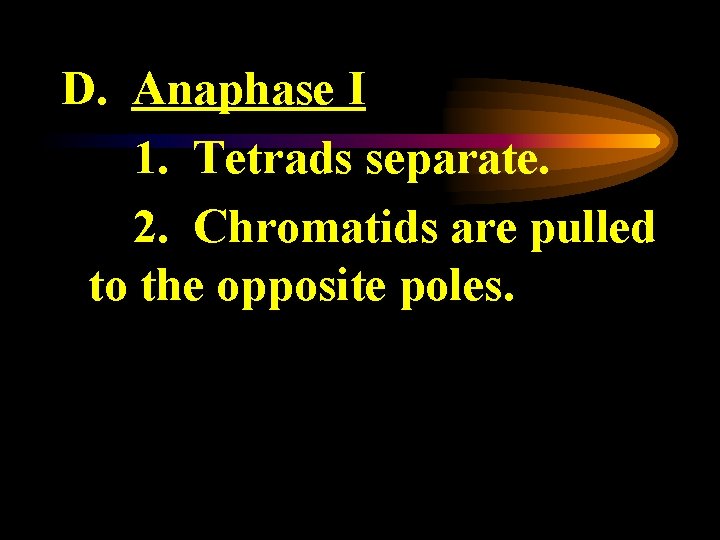 D. Anaphase I 1. Tetrads separate. 2. Chromatids are pulled to the opposite poles.