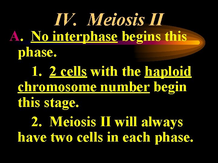 IV. Meiosis II A. No interphase begins this phase. 1. 2 cells with the