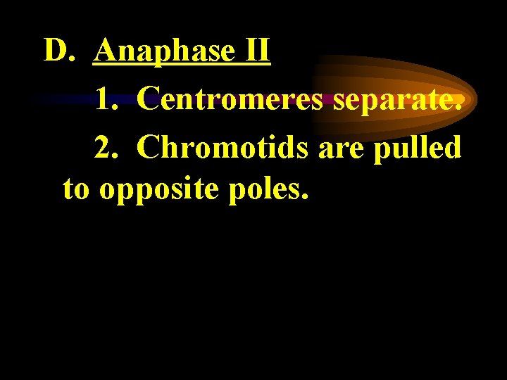 D. Anaphase II 1. Centromeres separate. 2. Chromotids are pulled to opposite poles. 