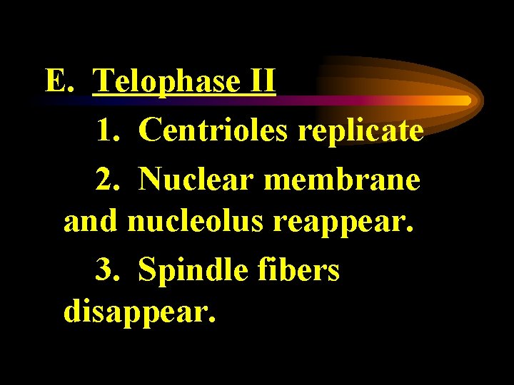 E. Telophase II 1. Centrioles replicate 2. Nuclear membrane and nucleolus reappear. 3. Spindle