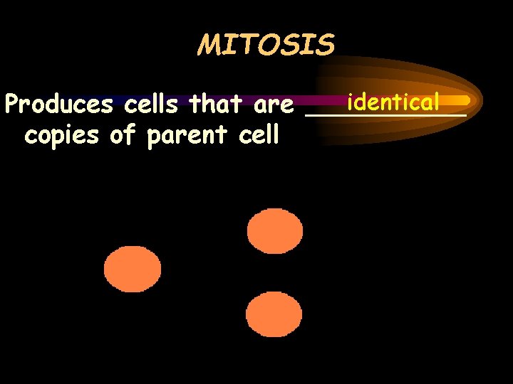 MITOSIS identical Produces cells that are _____ copies of parent cell 