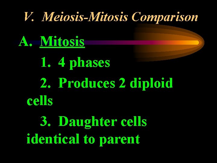 V. Meiosis-Mitosis Comparison A. Mitosis 1. 4 phases 2. Produces 2 diploid cells 3.