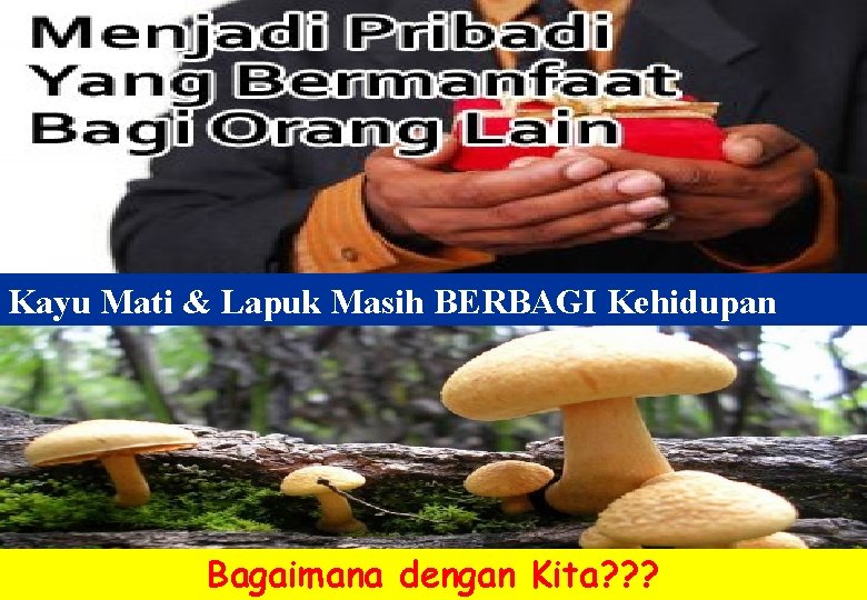 Kayu Mati & Lapuk Masih BERBAGI Kehidupan Bagaimana dengan Kita? ? ? 32 